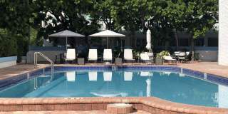 6450 Collins Avenue Gallery 25