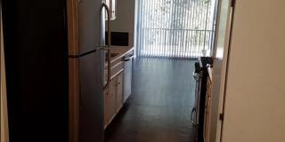 Hillside Terrace Gallery 25