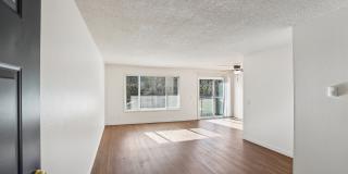 Colony Park Gallery 1