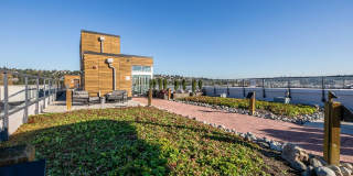 Koi Apartments Gallery 18