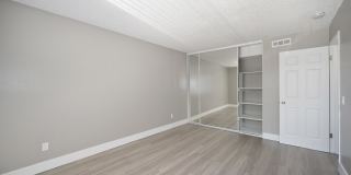 Pinewood Apartments Gallery 28