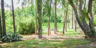 314 Liriope Loop Gallery 19