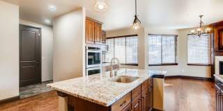 1696 Avenida Del Sol, Castle Rock, CO Gallery 12