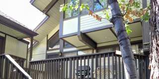 41935 Switzerland Drive Gallery 1