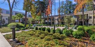 Lorien Ivy Apartments Gallery 30