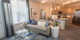 Mayfair Reserve Gallery 11