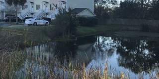 324 Laurel Oak Lane Gallery 41