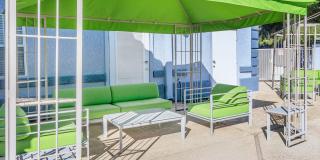 The Palisades Gallery 17