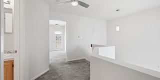 32 Birch Ter Gallery 20