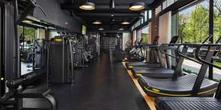 1339 West Randolph St. Gallery 10