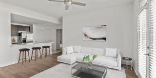 Bower Westside Gallery 6