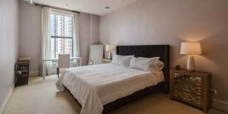 888 S Michigan Avenue Gallery 11