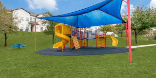 The Atlantic Stone Oak The Atlantic Stone Oak Gallery 9