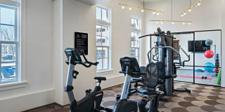 The Hamilton Gallery 8