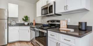 Carroll's Creek Landing Gallery 6