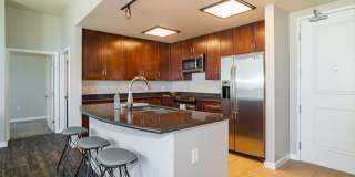 Penthouses at Capitol Park Gallery 7