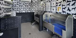 Folksong Flowery Branch Gallery 30