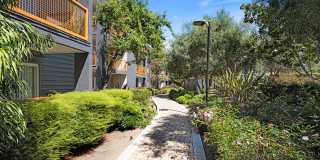 CitySouth Gallery 42