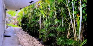 274 SW 9th St Gallery 3