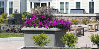 The Shipyard at Port Jefferson Harbor Apartments The Shipyard at Port Jefferson Harbor Apartments Gallery 16