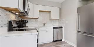 209 Woodstock Street Gallery 6