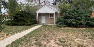 3 Bedroom 1 Bathroom Ranch in East Denver! Gallery 23