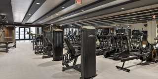 Preston Centre Gallery 25