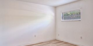 Elmwood Apartments Gallery 11