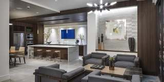 Arabelle Perimeter Gallery 7