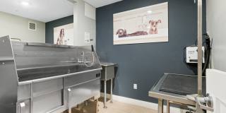 TGM Ibis Walk Gallery 27