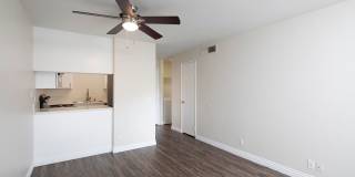 Golden Pacific Gallery 7