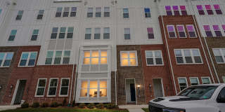 19820 LAVENDER DUST Square Gallery 1