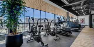 Terra Vista Gallery 25