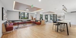 Fitzroy Gallery 19