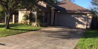868 Amberstone Gallery 1