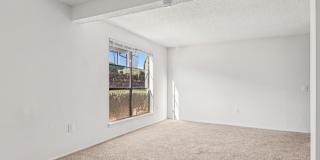 Andover Park Gallery 43