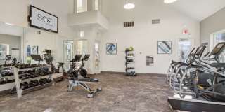 Sofi Sunnyvale Gallery 3