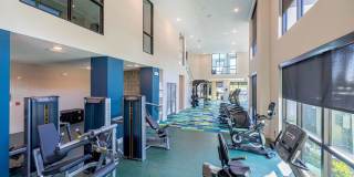 Tropia Wellen Park Gallery 34