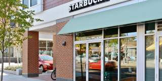 The Bradford Gallery 41