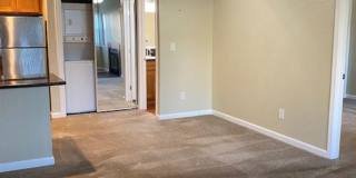 Carmel Woods Gallery 1