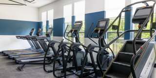 The Hillmont Gallery 13