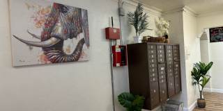 The Palms On Seminary Gallery 8