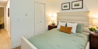 ReNew Dash Point Gallery 18