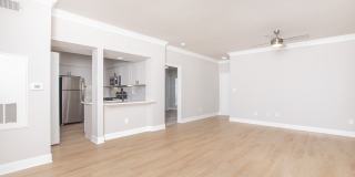 Las Palmas Gallery 21