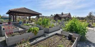403A ORCHARD PASS Avenue Gallery 27