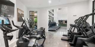 Cortland at Stonebriar Gallery 11