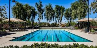 3535 Montepulciano Lane Gallery 45