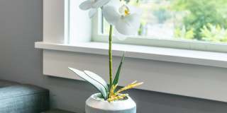 Vue Issaquah Gallery 35