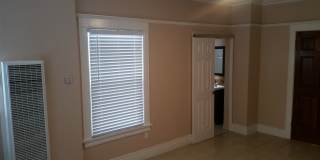 744 pine Gallery 5