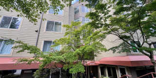 Greenwood Condominium ~ Cooper Square Greenwood Condominium ~ Cooper Square Gallery 1